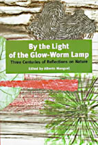 By the Light of the Glow-Worm Lamp